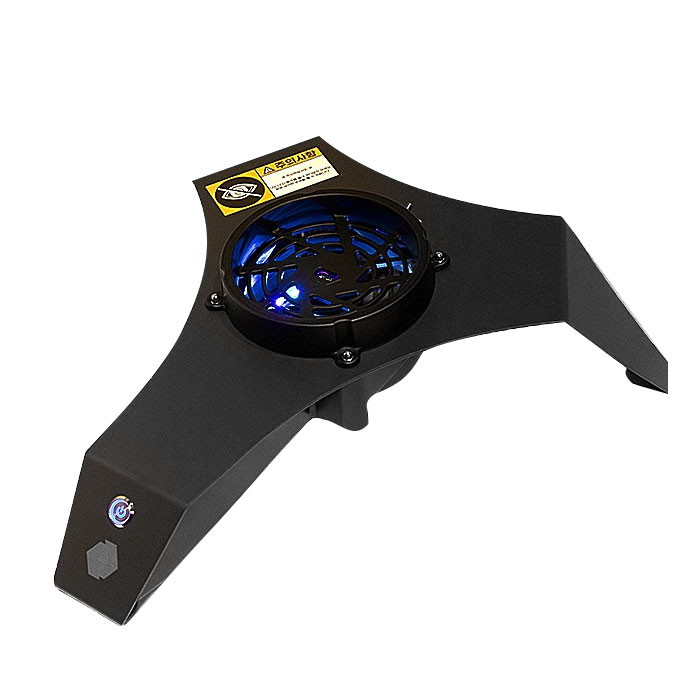 Daisy on the Ohoopee